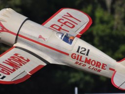 Flugtag 2022